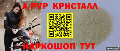 СК Обь