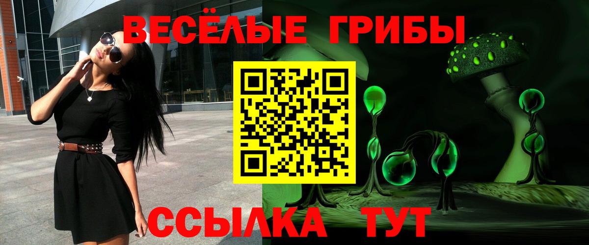 Галлюциногенные грибы GOLDEN TEACHER  Псилоцибиновые грибы мицелий  Вход с VPN  Саратов 